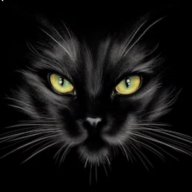 blackcat
