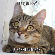 Archi_22923