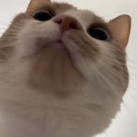 susiboooga