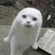 LaBOMA